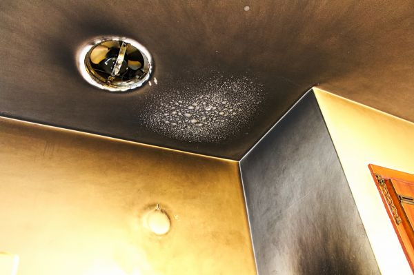 Smoke Damage Remediation in Lenoir City